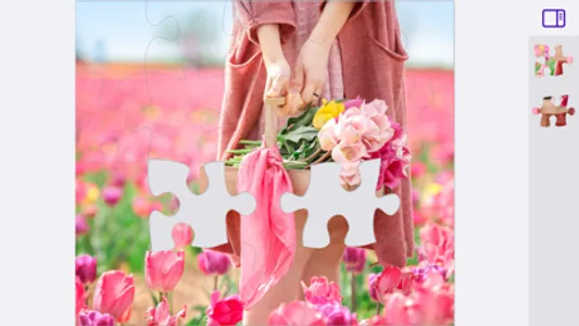 1000 Jigsaw Puzzles World HD screenshot 3