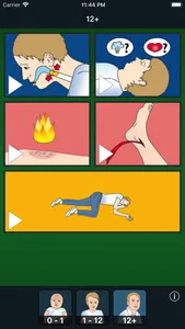 Cederroth First Aid screenshot 0