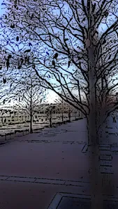 Sketch Camera. screenshot 2
