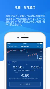 外貨預金 住信SBIネット銀行 screenshot 3