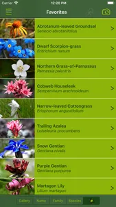 AlpineFlower Finder – Europe screenshot 2