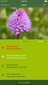 AlpineFlower Finder – Europe screenshot 7