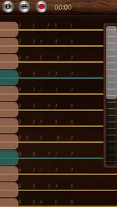 GuZheng screenshot 0