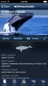 WhaleGuide for iPhone screenshot 1