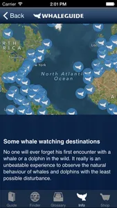 WhaleGuide for iPhone screenshot 2