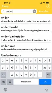 Danish Slang Dictionary screenshot 1