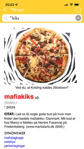 Danish Slang Dictionary screenshot 3