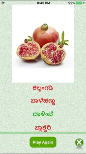 FlashCards Kannada Lesson screenshot 4