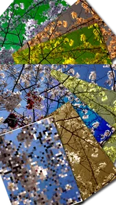 Serial Shot Lite with Filter Effect screenshot 3