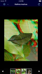 Actioforma KOS screenshot 0