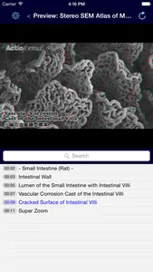 Actioforma KOS screenshot 3
