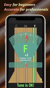 Baglama Tuner screenshot 0