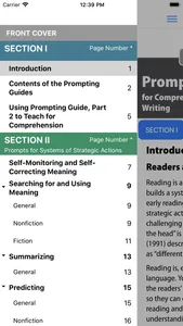 F&P Prompting Guide 2 screenshot 1