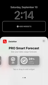 DataMan - Data Usage Widget screenshot 0