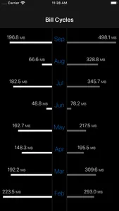 DataMan - Data Usage Widget screenshot 4