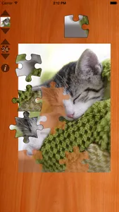 Cat Puzzles screenshot 0