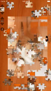 Cat Puzzles screenshot 1