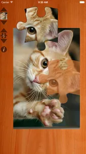 Cat Puzzles screenshot 3