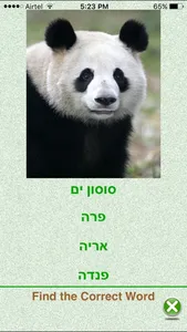 FlashCards Hebrew Lesson screenshot 2