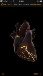 CardioSmart Heart Explorer screenshot 3