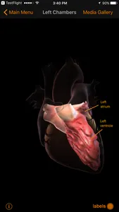 CardioSmart Heart Explorer screenshot 4