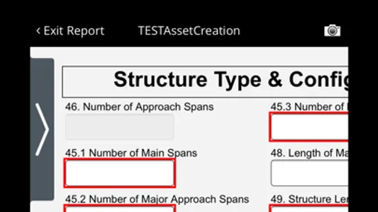 InspectTech Collector Mobile screenshot 3