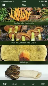 Pilze Sammeln + Bestimmen screenshot 0