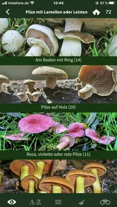 Pilze Sammeln + Bestimmen screenshot 1