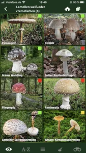 Pilze Sammeln + Bestimmen screenshot 2