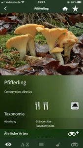 Pilze Sammeln + Bestimmen screenshot 4