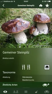 Pilze Sammeln + Bestimmen screenshot 7