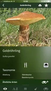 Pilze Sammeln + Bestimmen screenshot 9