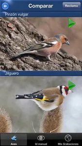 Cantos de Aves Id screenshot 3