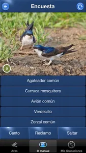 Cantos de Aves Id screenshot 4