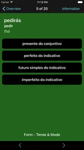 Portuguese Verbs & Conjugation screenshot 5