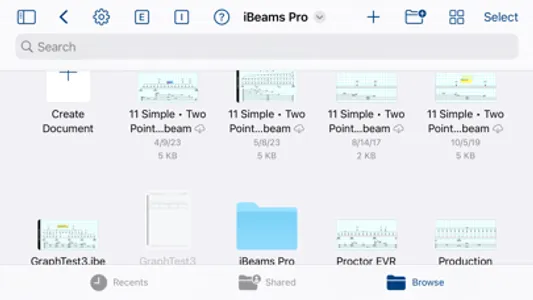 iBeams Pro screenshot 3