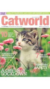 Catworld Magazine screenshot 2