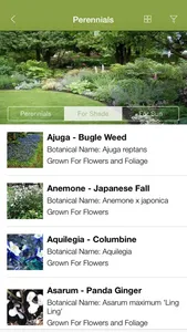 Armitage’s Great Garden Plants screenshot 3