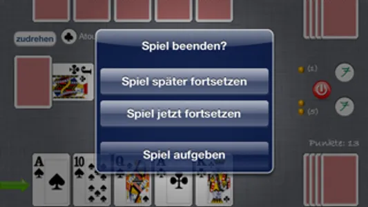 Schnapse screenshot 3