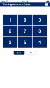 Winning Numbers Game screenshot 1