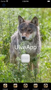 UlveApp screenshot 1