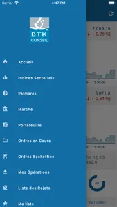 BTK CONSEIL screenshot 0