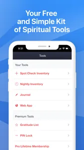 My Spiritual Toolkit AA Steps screenshot 1