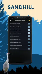 Sandhill Crane Magnet screenshot 0