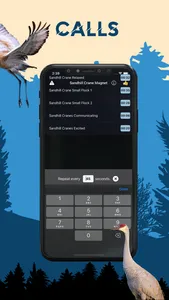 Sandhill Crane Magnet screenshot 2