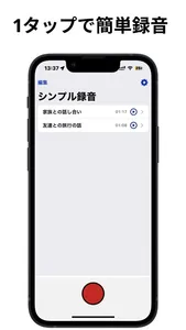 Simple Voice Recorder - Audio screenshot 0