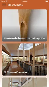 El Museo canario screenshot 0