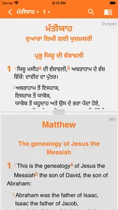 Punjabi Contemporary Bible screenshot 1