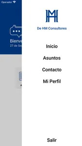 HM Consultores screenshot 1