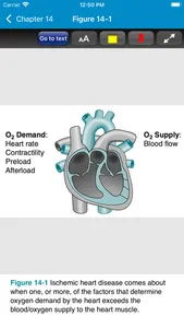 Basic Concepts Pharmacology 6E screenshot 6